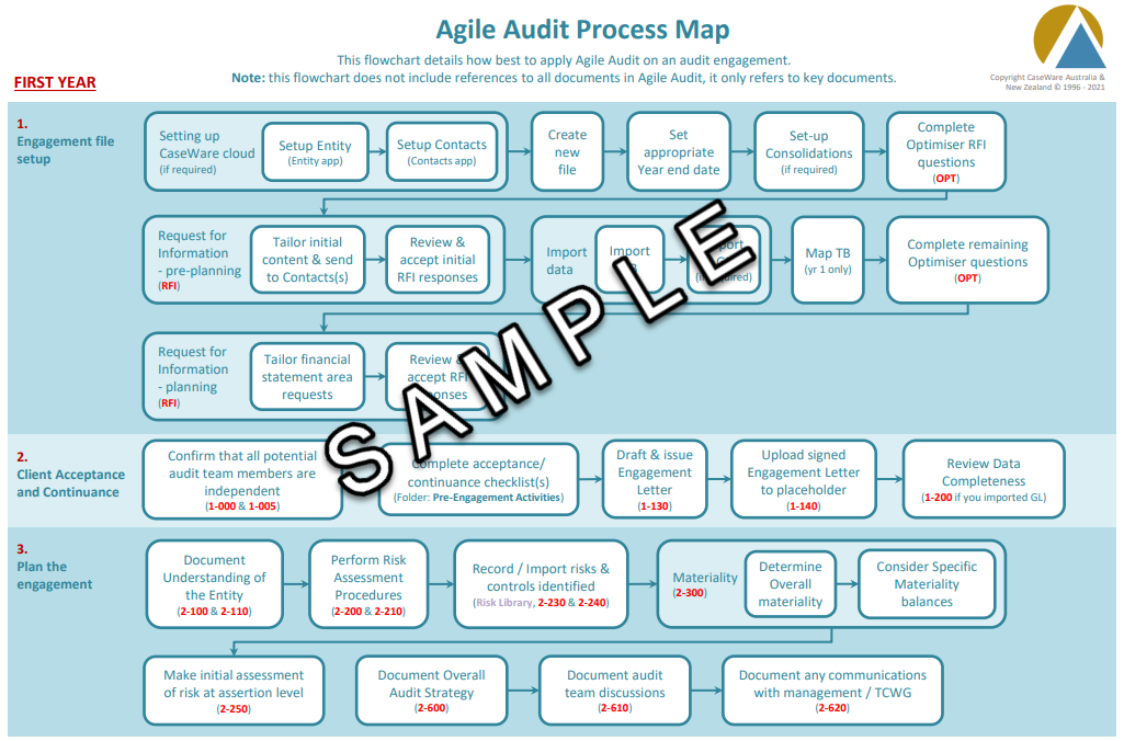 process audit template